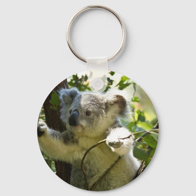 Koala Süsse Schlüsselanhänger (Vorderseite)