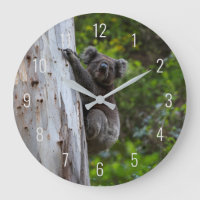 Koala-Süße Tier in einem Baumaustralien
