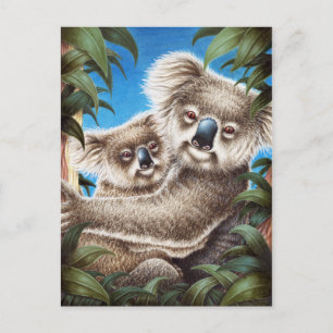 Koala und Baby Postcard Postkarte