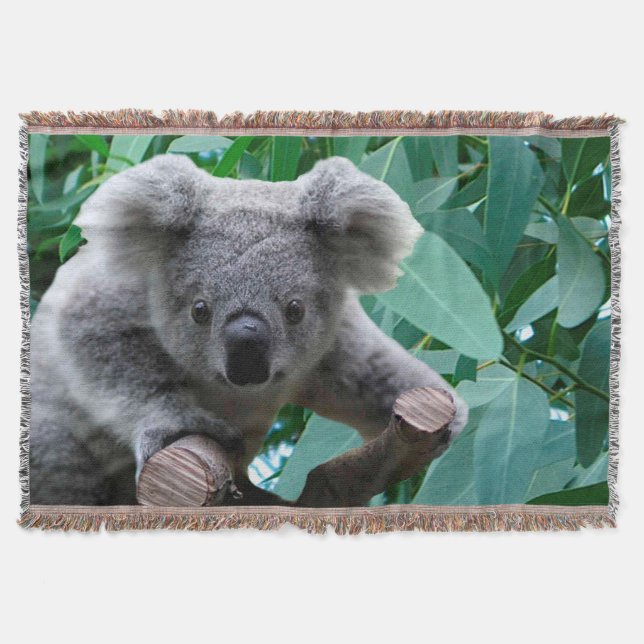 Koala und Eukalyptus Decke (Vorderseite)