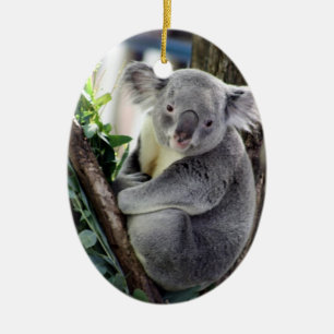 Koala-Weihnachten Keramikornament