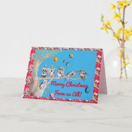 Koala Weihnachtskarte Funny Merry von uns Alle Kar Karte