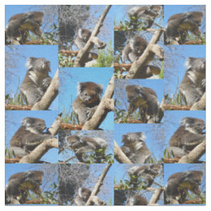"Koala Wonders: Eine herzerwärmende FotoCollage" Stoff