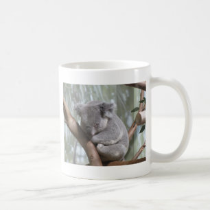 Koalabär Kaffeetasse