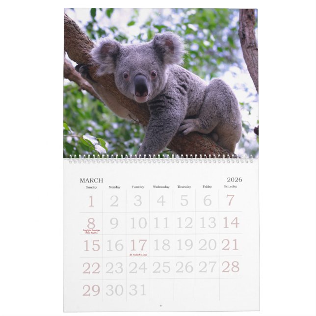 Koalendar  kalender (Mär 2026)