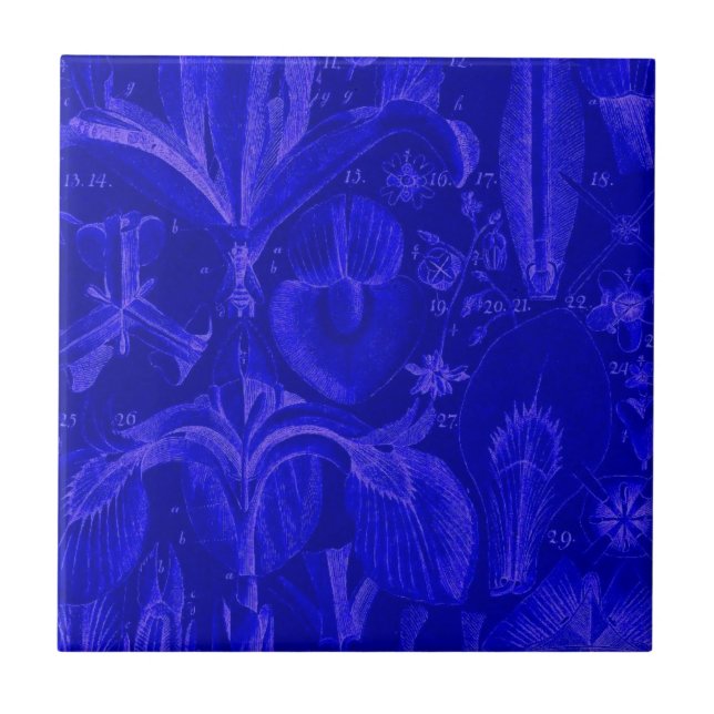 Kobalt Blauer Ton Fliese (Vorderseite)