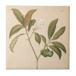 Kobalt-Deko-Panel I Fliese<br><div class="desc">Cobalt Deko Panel I von Chariklia Zarris</div>