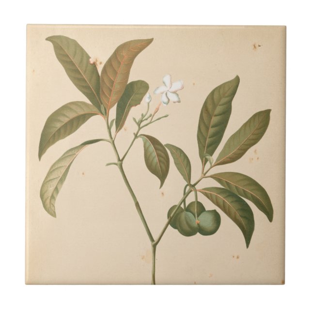 Kobalt-Deko-Panel I Fliese (Vorderseite)