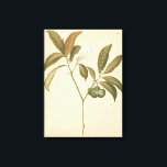 Kobalt-Deko-Panel I Leinwanddruck<br><div class="desc">Cobalt Deko Panel I von Chariklia Zarris</div>