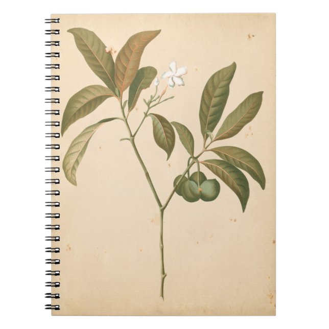 Kobalt-Deko-Panel I Notizblock (Vorderseite)