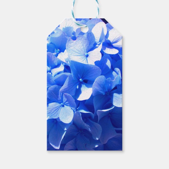 Kobaltblau Blütenblütenelegante Hydrangeas Geschenkanhänger (Vorderseite)