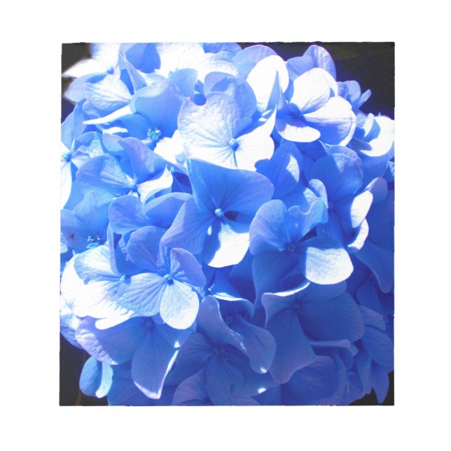 Kobaltblau Blütenblütenelegante Hydrangeas Notizblock (Vorderseite)