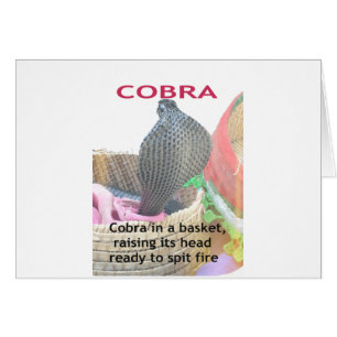 Kobra im Korb bereit Feuer zu speien