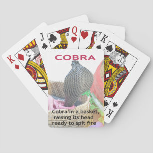 Kobra im Korb Kunstprint Spielkarten