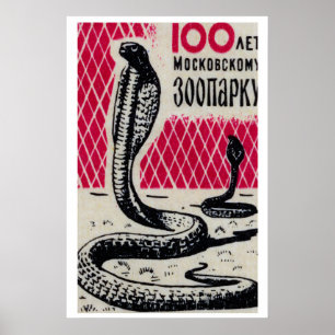 Kobra Schlangen - Matchbox Druck - Tschechische Wa Poster