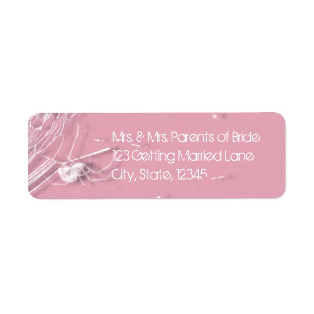 Kobrenne und weiße Spinnen (Vorne)