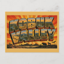 Kobuk Valley Alaska Arktische Dünen Fluss Kunst