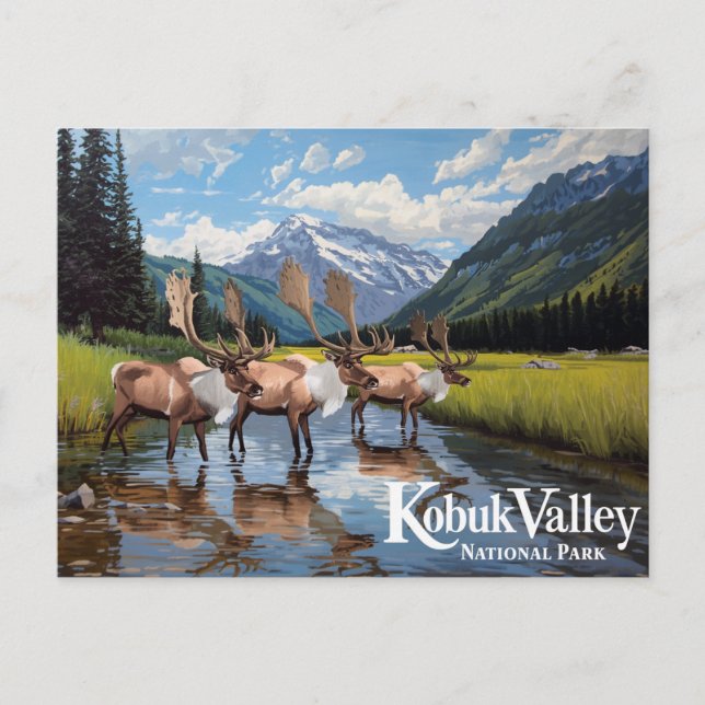 Kobuk Valley Caribou Herd Alaska Art Postkarte (Vorderseite)