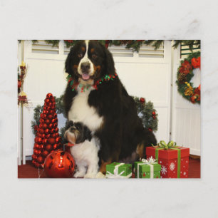 Kobus und Grover - Eiting - Foto 4 Postkarte