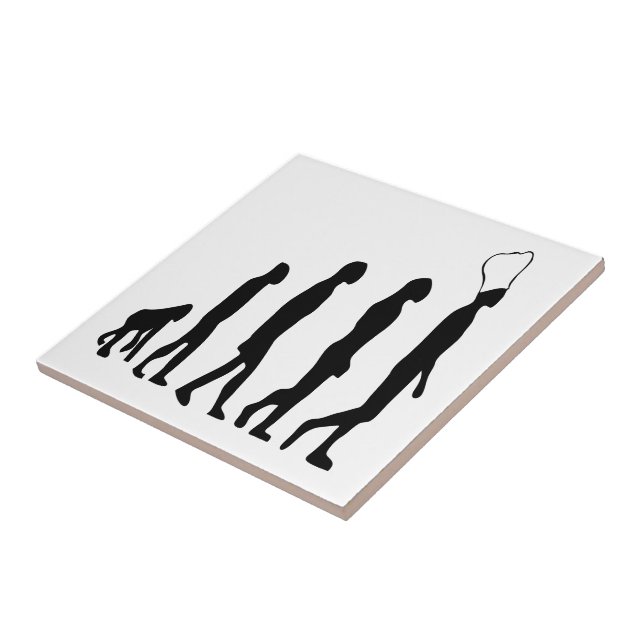 Koch Evolution Fliese (Seite)