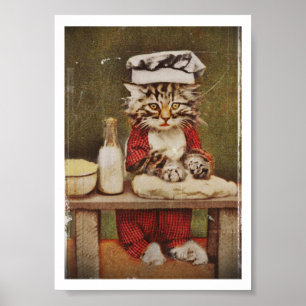 Koch Kitten Brot machen Poster