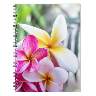 Kochbuch für Orchideen, Opal Hawaiian Blume Notizblock
