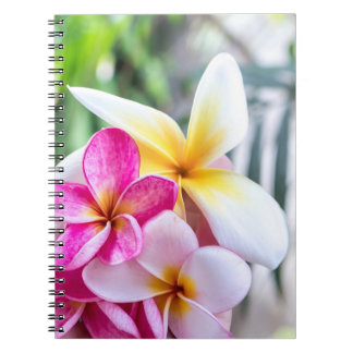 Kochbuch für Orchideen, Opal Hawaiian Blume Notizblock