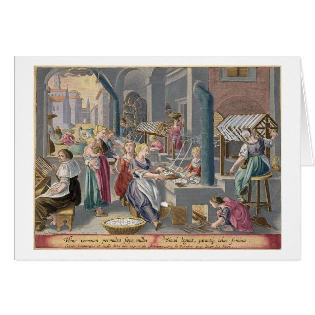 Kochen der Kokons, um das Chrysalids zu zerstören (Vorderseite (Horizontal))