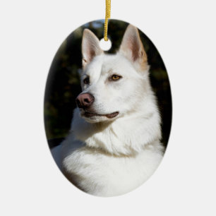 Kodah Der weiße Schäferhund Wolfdog Keramikornament