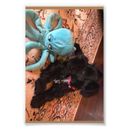 Kodak Beruflich Foto Paper (Satin)