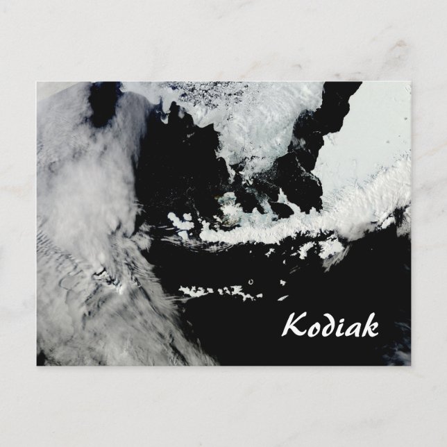 Kodiak Alaska Postcard Postkarte (Vorderseite)