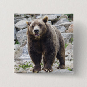 Kodiak Bär Button
