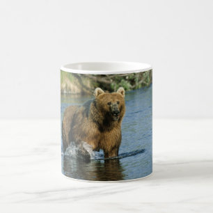 Kodiak-Bär Kaffeetasse