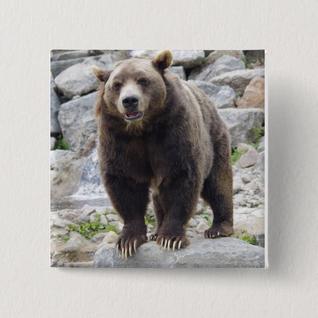 Kodiak-Bär Stehend auf einem Felsen Button (Vorderseite)