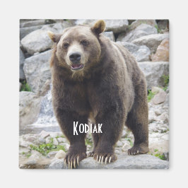 Kodiak Bärenmagnet Magnet