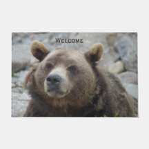 Kodiak Bärenportrait Foto mit Nahaufnahme