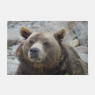 Kodiak Bärenportrait Foto mit Nahaufnahme Fußmatte