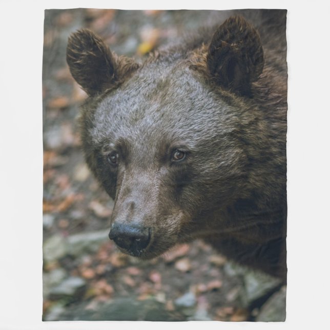 KODIAK BEAR 2 FLEECEDECKE (Vorderseite)