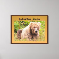 Kodiak Bear - Alaska