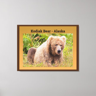 Kodiak Bear - Alaska Leinwanddruck