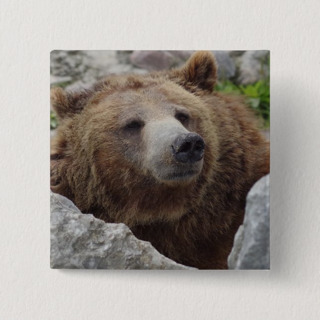 Kodiak Bear Button (Vorderseite)