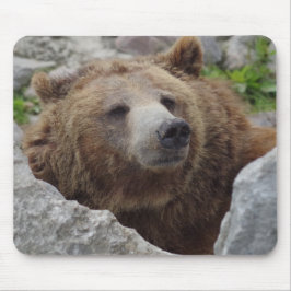 Kodiak Bear Mousepad