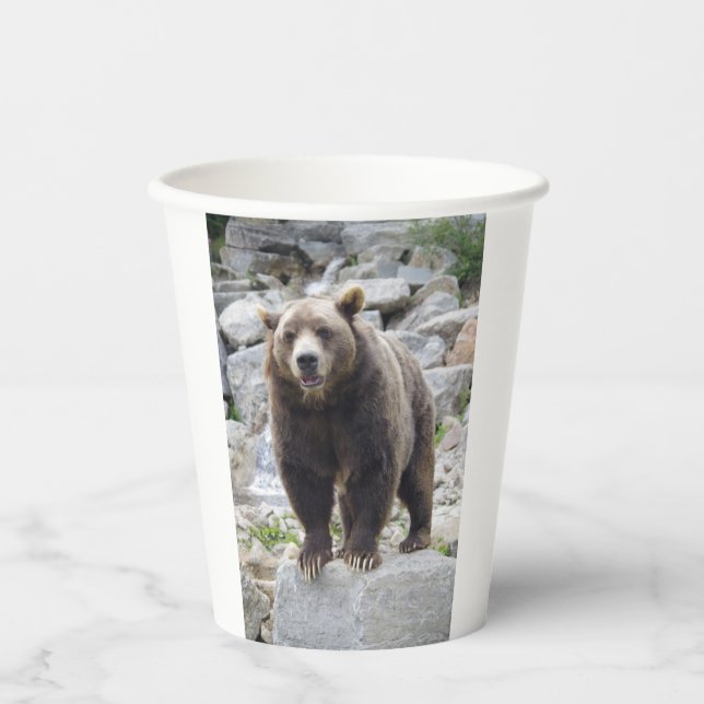 Kodiak Bear Pappbecher (Vorderseite)