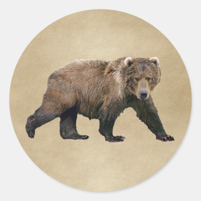 Kodiak Bear Runder Aufkleber (Vorderseite)
