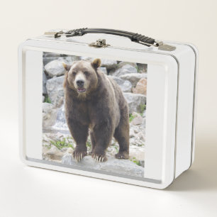Kodiakbär Metall Brotdose