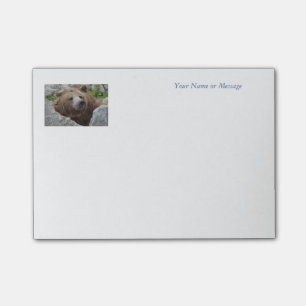 Kodiakbär Post-it Klebezettel