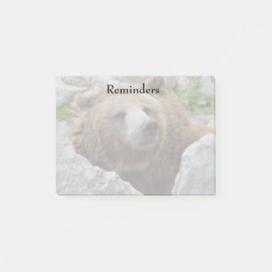 Kodiakbär Post-it Klebezettel