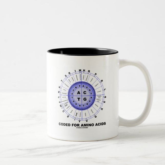 Kodiert für Aminosäuren (genetischer Code DNS) Zweifarbige Tasse (Rechts)