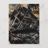 Koffein im Mikroskop