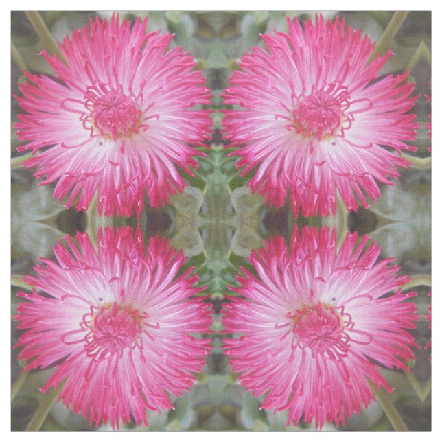 Kogniet Stoff (Muster)